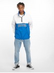 Pennellville Royal Blue